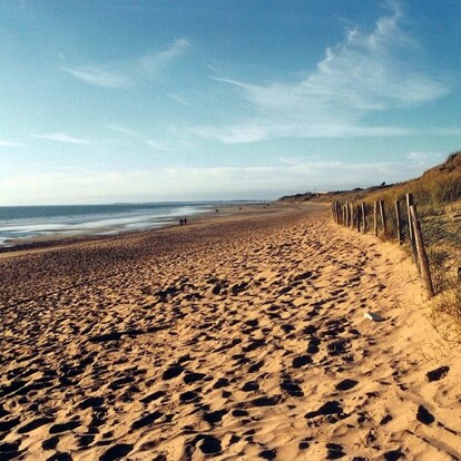 bois-plage-dune-soir-1