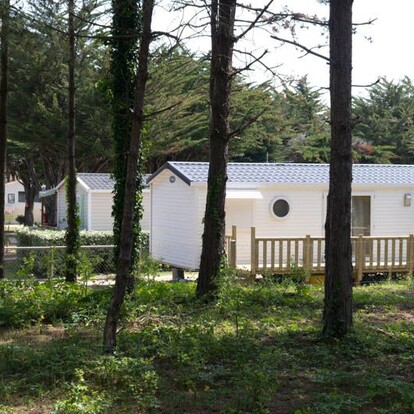 camping-campiotel-des-dunes-ile-de-re-1