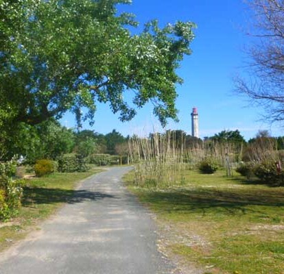 camping-les-baleines-1