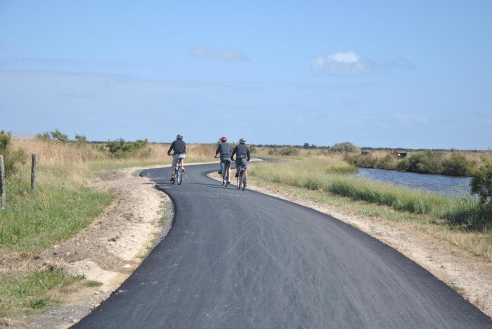 Les marais salants à vélo à Loix