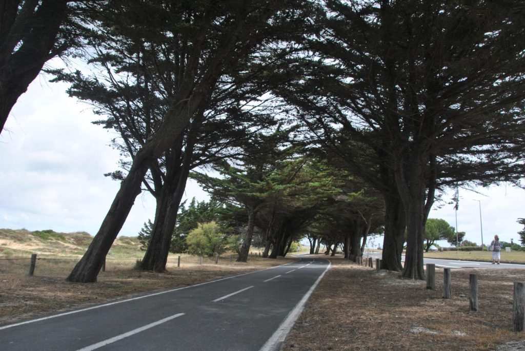 Pistes cyclables de Rivedoux-Plage