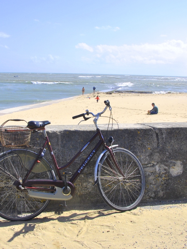 Plage et digue à Ars-en-Ré