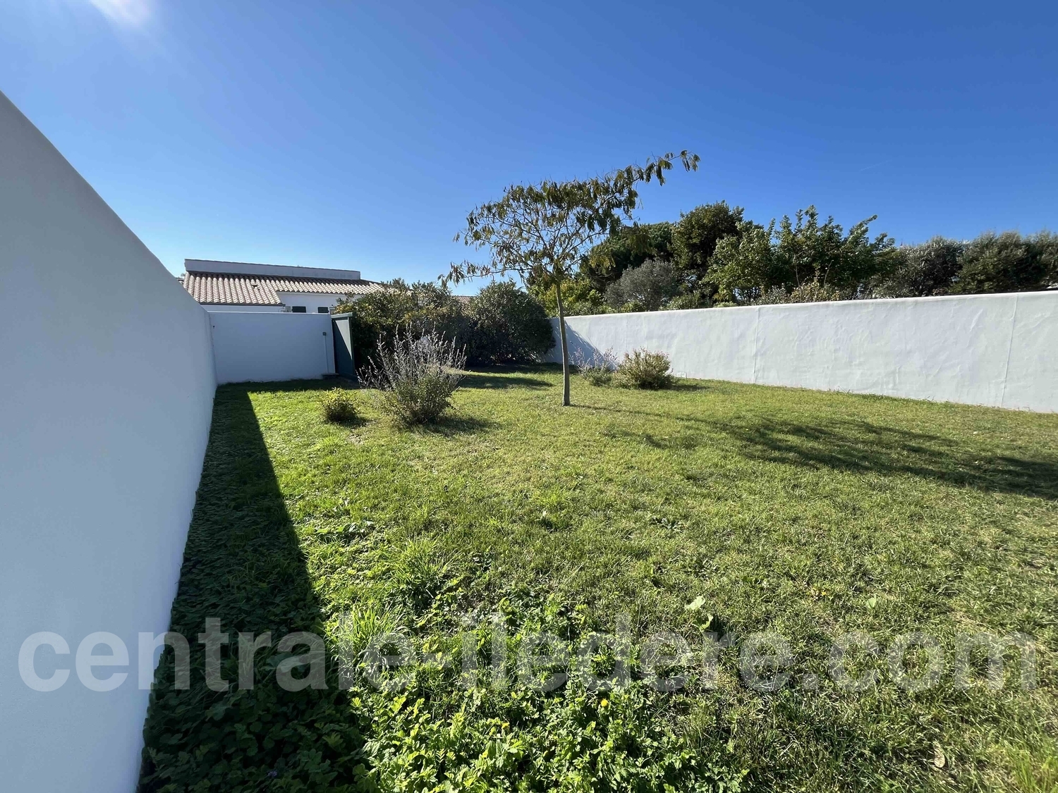 6903723978c91.jpg 6903723978c91.jpg