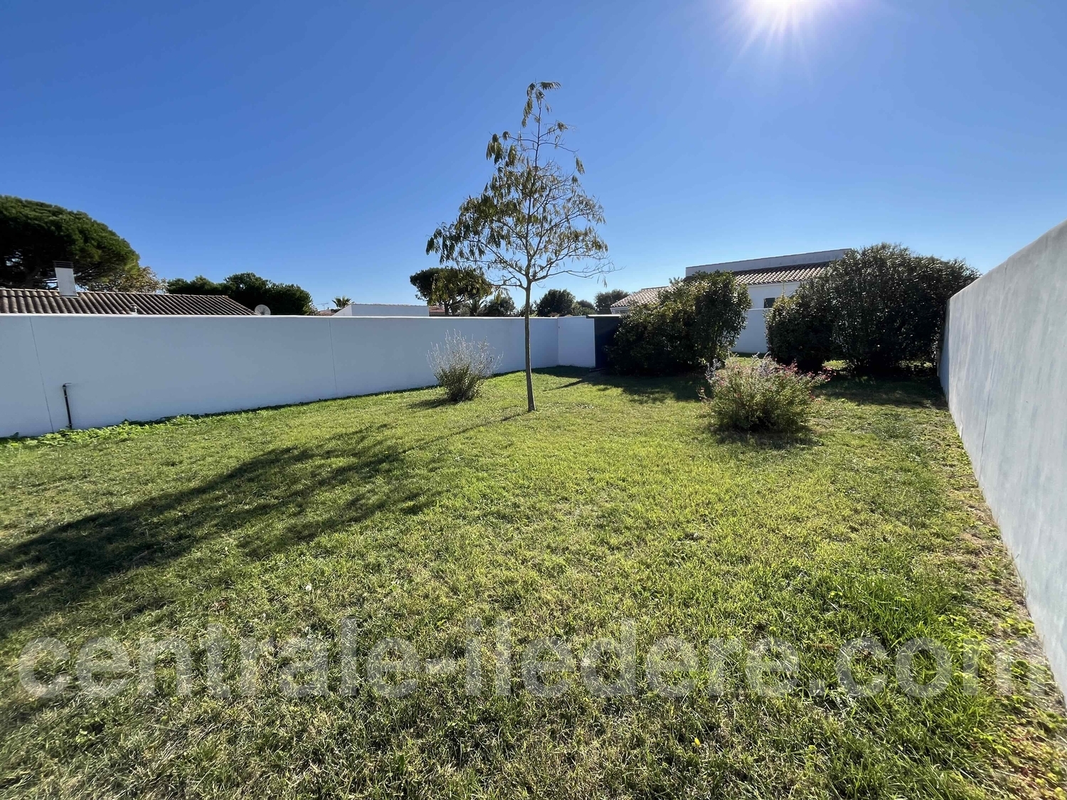 6903723979d60.jpg 6903723979d60.jpg