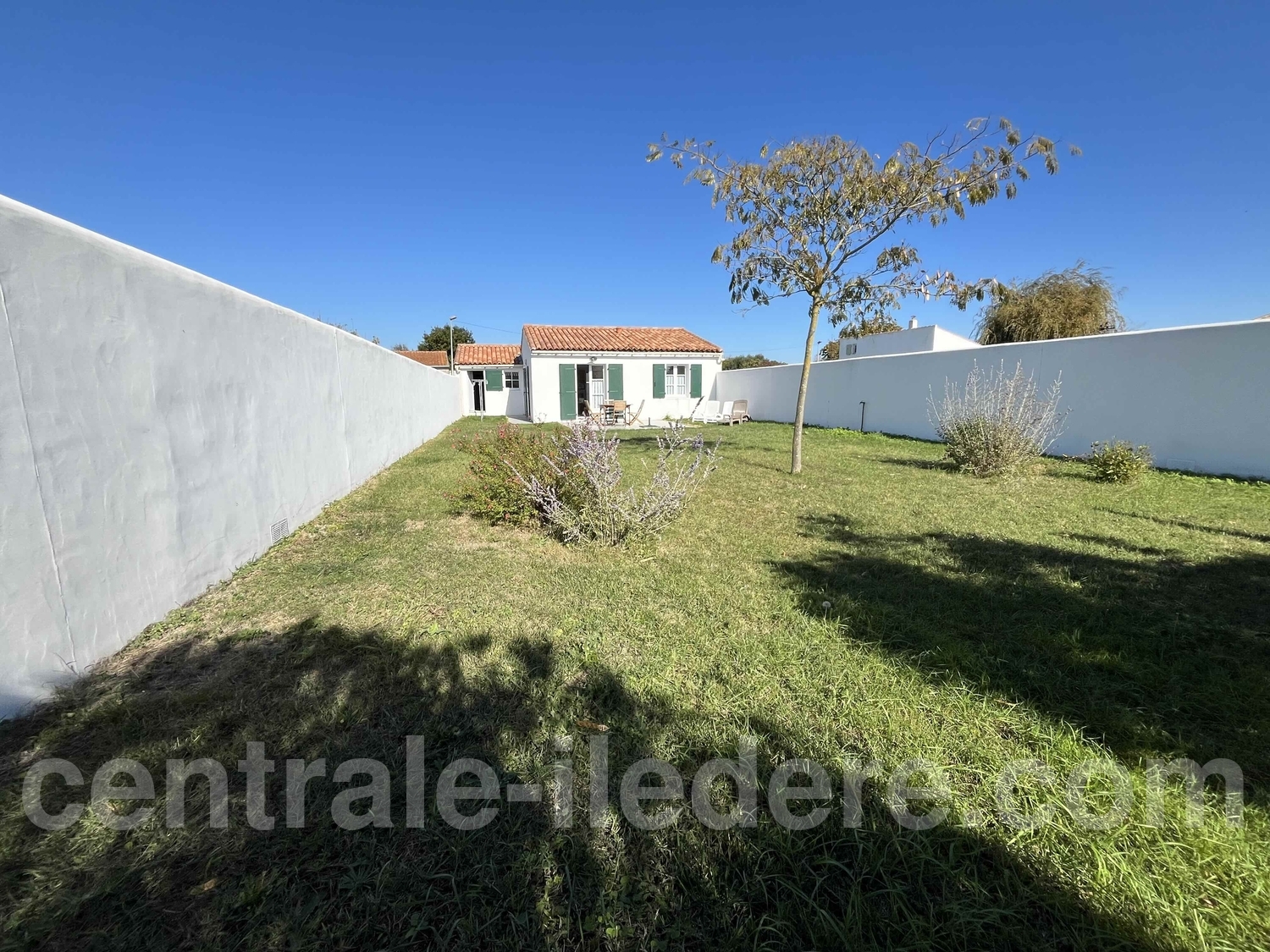 690372397c1d1.jpg 690372397c1d1.jpg