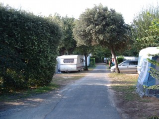 camping-bois-henri-iv