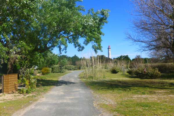 camping-les-baleines-1