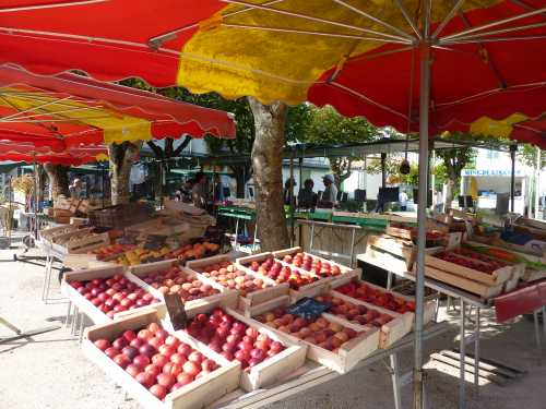 marche-fruits-sainte-marie-la-noue-ile-de-re-1